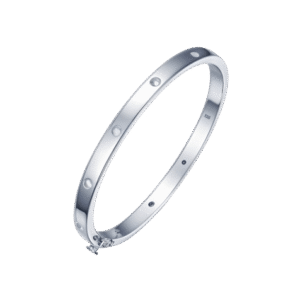 Polished Silver Bangle Bracelet