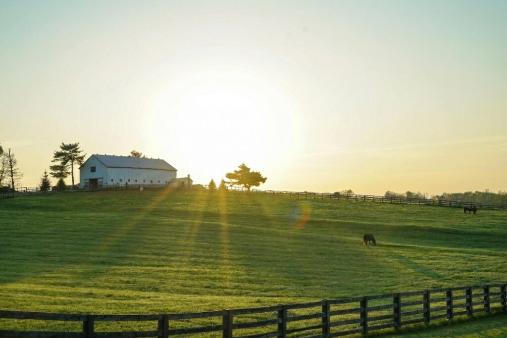 lexington kentucky ranch