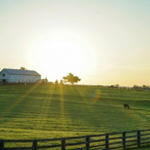 lexington kentucky ranch